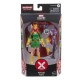 Marvel Legends Series - X-Men - Jean Grey