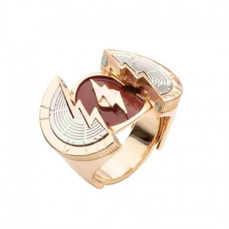 logo anillo the flash