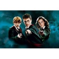 HARRY POTTER